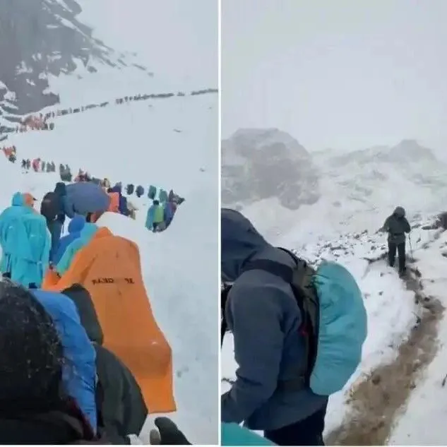 珠峰暴雪：向导一人一狗带上百人撤离，有人转账5000元感谢