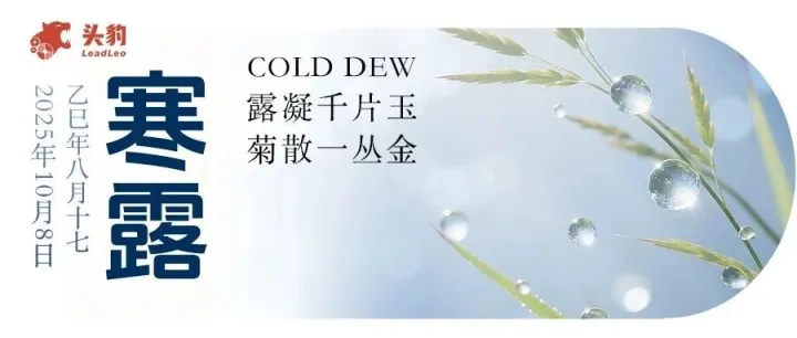 露凝千片玉，菊散一丛金「寒露」