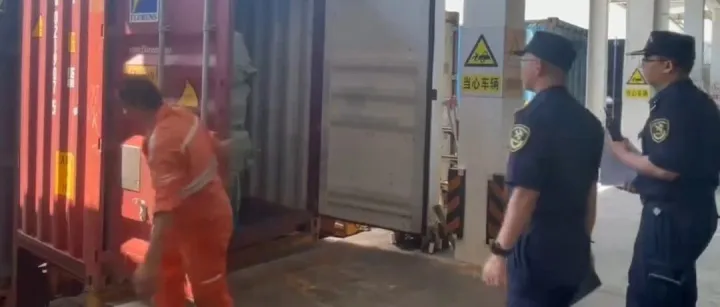 4200双侵权鞋被查获！海关重拳打击商标“克隆术”