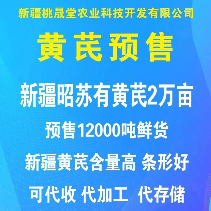【新疆黄芪预售】新疆桃晟堂2万亩鲜黄芪开始预售！