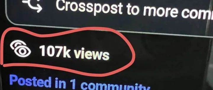 单帖100K+views，150+互动，2025如何掘金reddit？