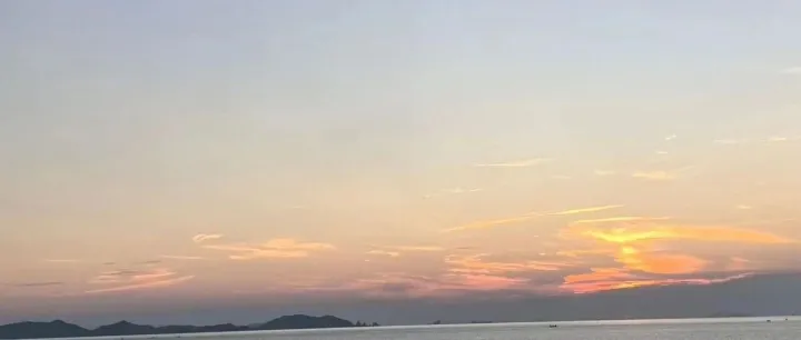 外贸Top Sales的职场困境：为什么业绩第一的我，却当不上团队领头人？