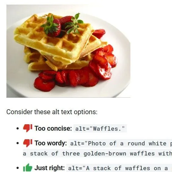 有手就能做的SEO之独立站<em>ALT</em>标签!