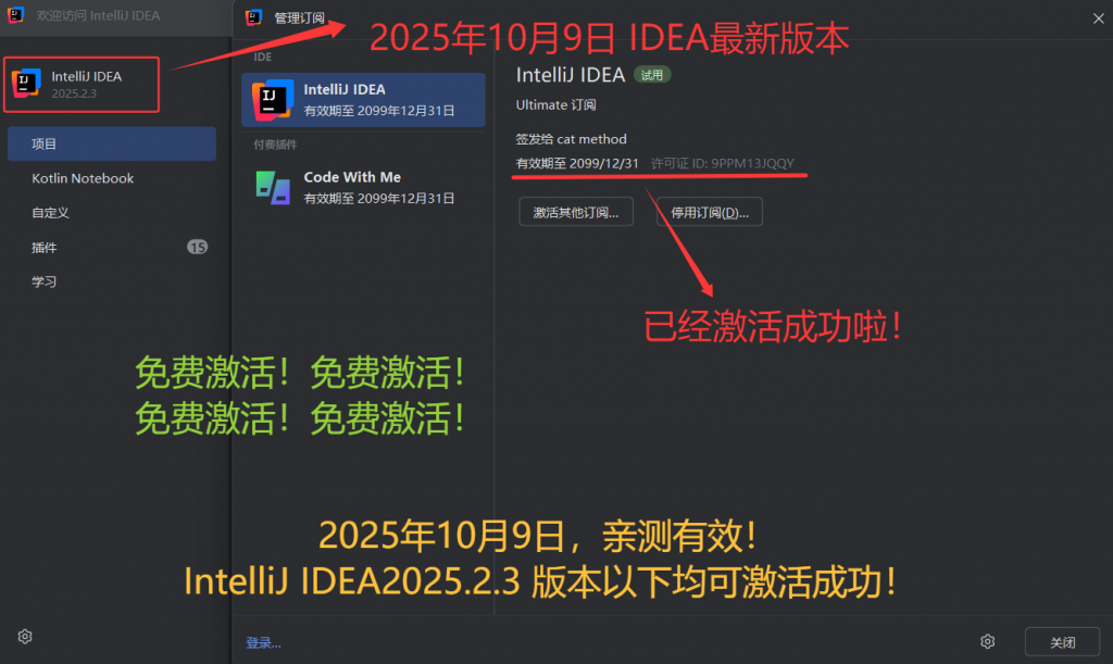 IDEA 2025.2.3 最新破解版安装教程（附激活码，至2099年）- 大数跨境