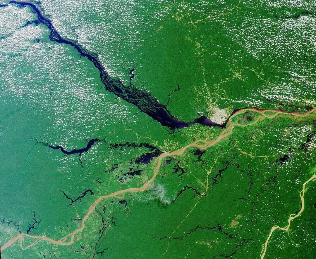 亚马逊河到底有多可怕 为什么没人敢下水,更没有一座桥敢跨越