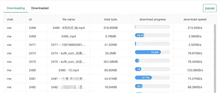 高效利器：<em>Telegram</em> Media Downloader，轻松下载 <em>Telegram</em> 媒体文件