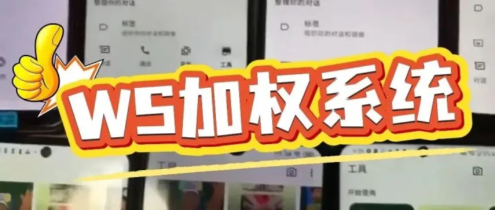 什么是<em>whatsapp</em>加权<em>系统</em>