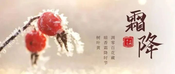 一夜西风紧，叶落叠成诗