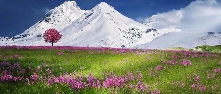 抖音集团如何巧用“<em>数</em><em>仓</em>”降本