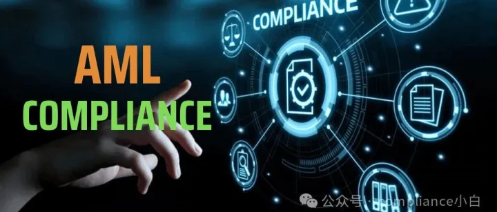 《<em>AML</em>合规成本》（反洗钱报告学习分享）