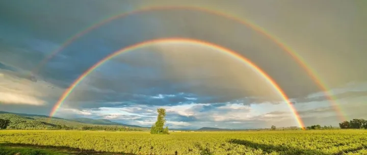 <em>Reddit</em>与谷歌重新谈判AI<em>数据</em>协议了