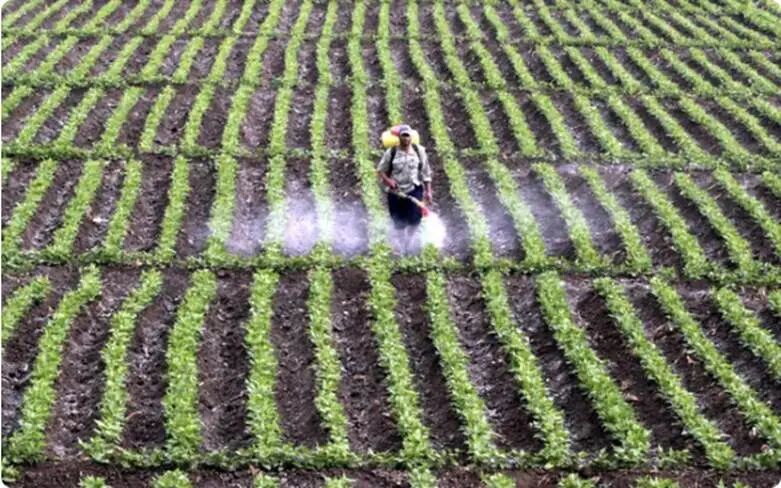 绿色的仙人掌

AI 生成的内容可能不正确。