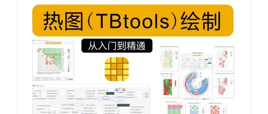 热图 | TBtools Heatmap 从入门到精通- 大数跨境
