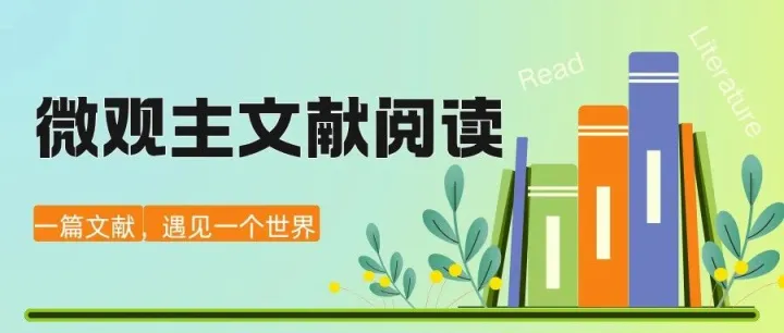 The <em>Cost</em> of Capital Corporation Finance & Theory of Investment