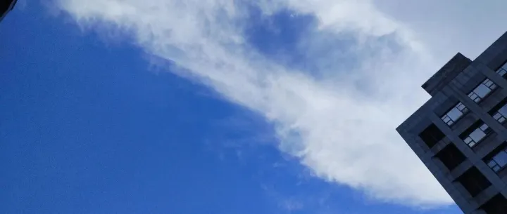 <em>Digital</em> market 07