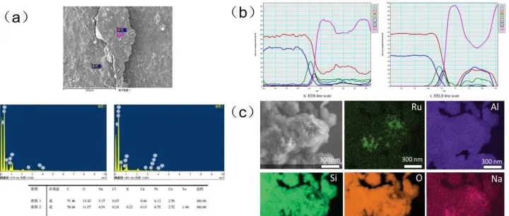 什么是<em>SEM</em>？