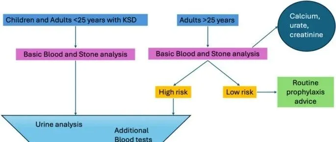 基因检测在肾结石疾病中的作用：