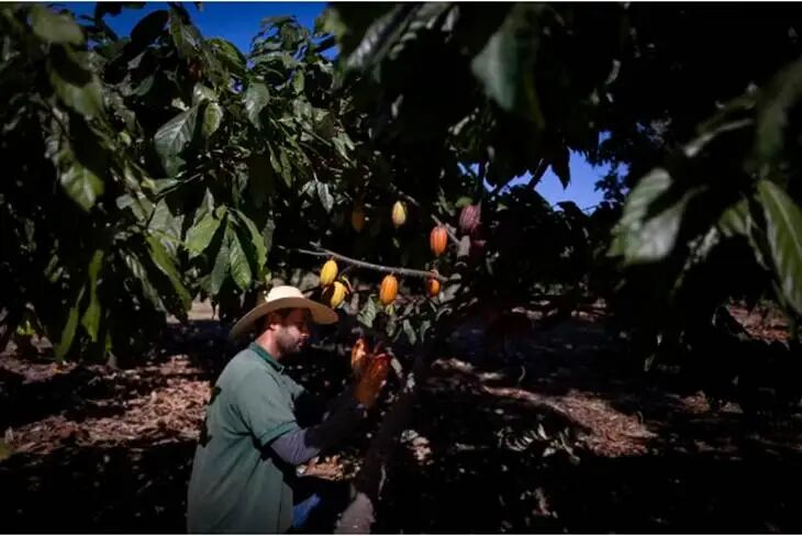 人在森林里

AI 生成的内容可能不正确。