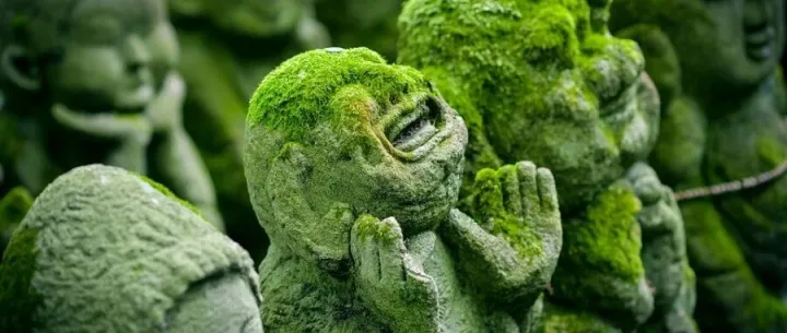 量化前沿速递：市场微观结构[20251015]