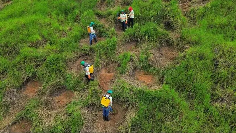 草地上骑自行车的人

AI 生成的内容可能不正确。