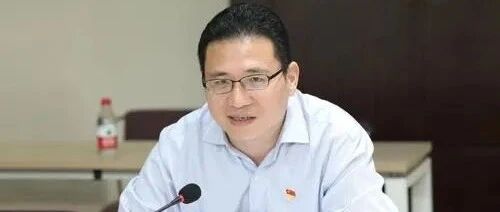 原中国电信夏冰出任国家数据局副局长,是什么级别?- 大数跨境