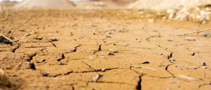 Are We Really on the Brink of a Sixth <em>Mass</em> Extinction?