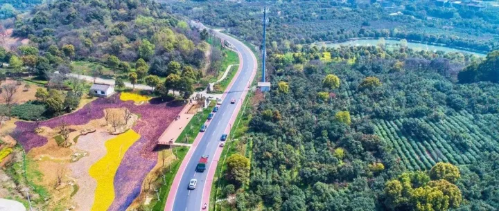 <em>历年</em>承接工程情况