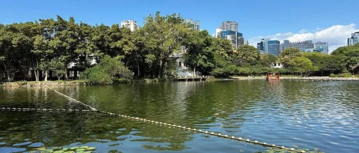 随便写写的<em>温州</em>和乐清，不解释的文字与人生