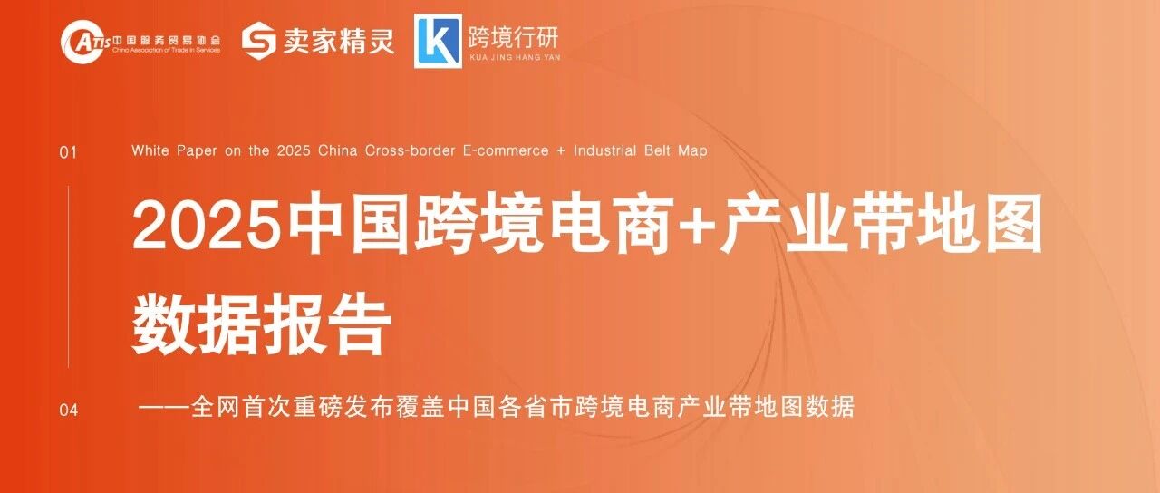 2025年中国跨境电商+产业带数据报告-卖家精灵 （附下载）- 大数跨境