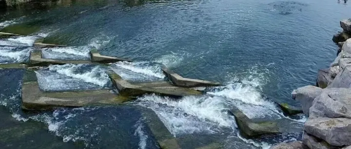 SEO<em>搜索</em>流量，大家一定要做！网络<em>推广</em>方法之全<em>平台</em>SEO