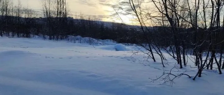 Wildberries在摩尔曼斯<em>克州</em>的业务增长27%