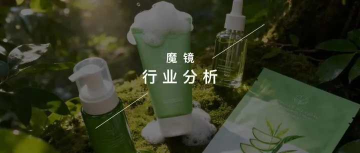 395%增速下的蓝海掘金：青少年护肤水乳的消费分层洞察与爆品破局逻辑