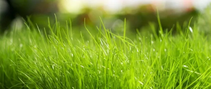 关注今日 Web3 (251006) | 量子安全、<em>AI</em> 区块链与企业落地趋势