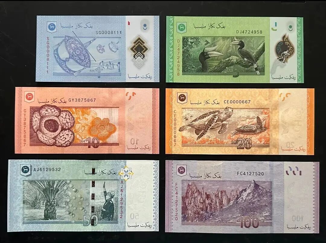 马来西亚货币--林吉特- 大数跨境