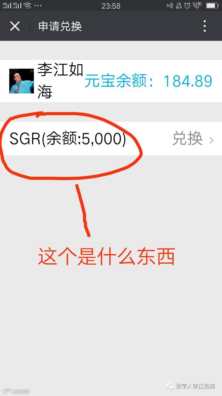 SDR与SGR（美联储私人银行）- 大数跨境