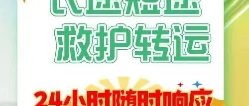 <em>湛江</em>私人120救护车 正规安全舒适-<em>高端</em>配置