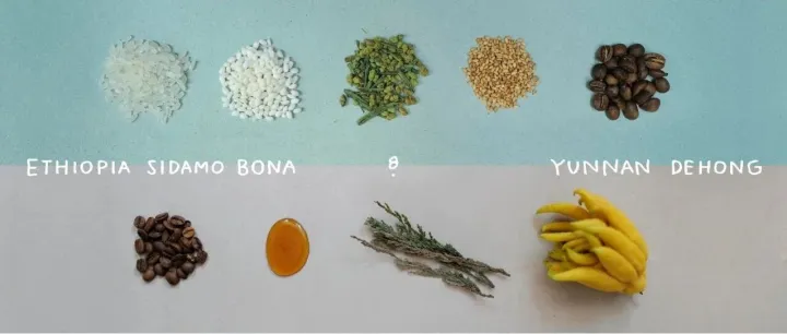 <em>SPOT</em> FALL / WINTER ’25  COLLECTION