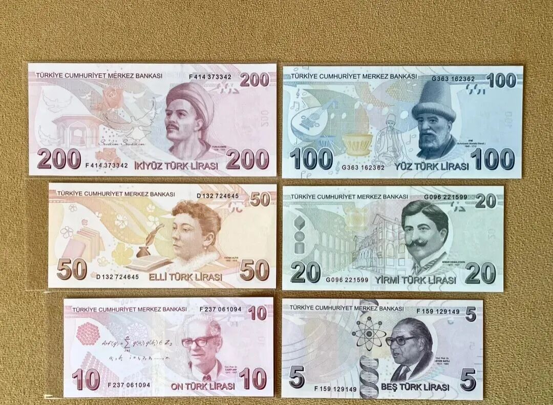土耳其货币--土耳其里拉- 大数跨境