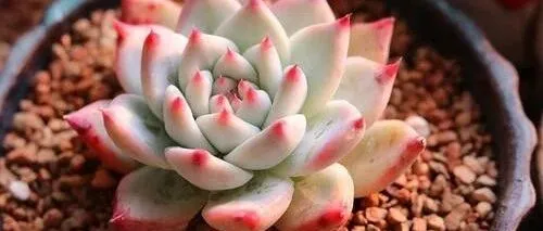 美媒：中国<em>最</em><em>畅销</em>的书及其<em>畅销</em>的原因