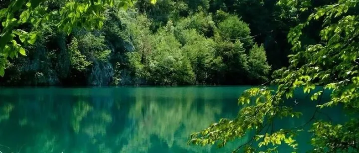 【<em>塞尔维亚</em>】<em>塞尔维亚</em>国家<em>银行</em>的通胀目标政策