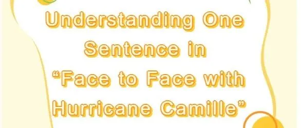 What <em>Does</em> This Sentence Mean?
