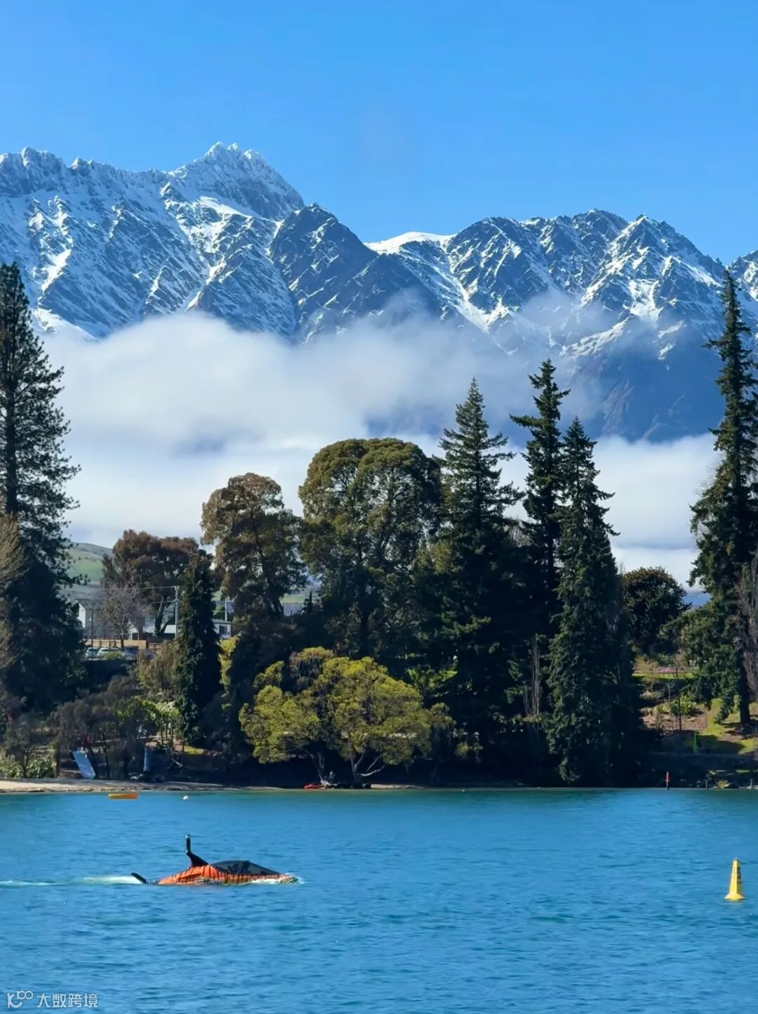 Weixin Image_20251017175752.jpg