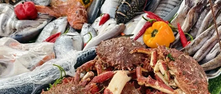 摩洛哥之旅，<em>索</em>维<em>拉</em>