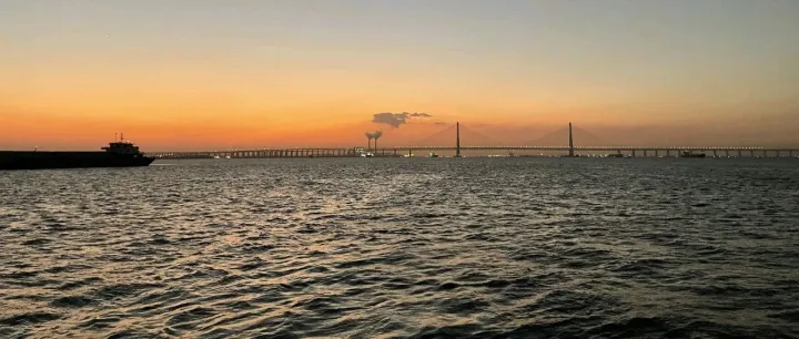 江海运费新变局：运价<em>数据</em><em>解析</em>与<em>未来</em>走势预测