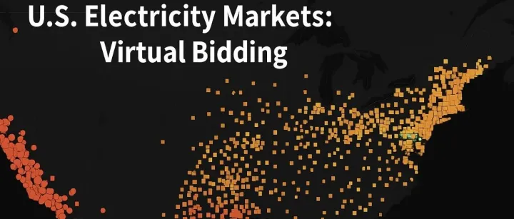 美国电力市场：虚拟交易<em>Virtual</em> Bidding