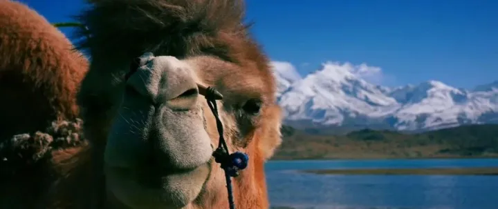 在新加坡<em>发行</em>RWA，需注意<em>代币</em>分类