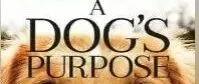 A <em>dog</em>'s purpose一条狗的使命9