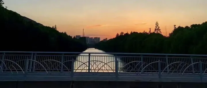 小红书搜索seo高<em>转化</em>实战指南【附完整<em>转化</em><em>案例</em>】