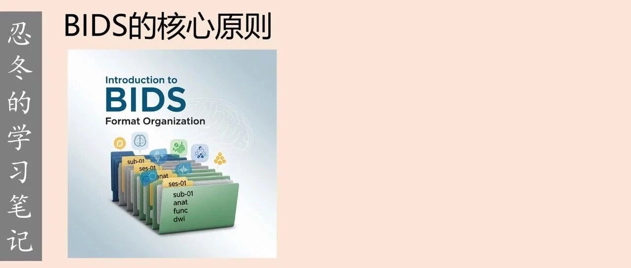 BIDS：神经影像数据管理的核心原则- 大数跨境