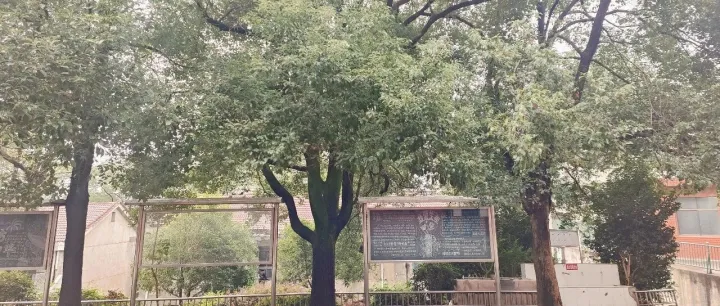 三十年，我攒了<em>一肚子</em><em>的</em>“坑”和“宝”，今天开始慢慢说给您听